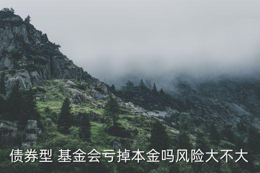 債券型 基金會(huì)虧掉本金嗎風(fēng)險(xiǎn)大不大