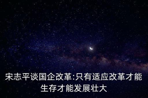 宋志平談國(guó)企改革:只有適應(yīng)改革才能生存才能發(fā)展壯大