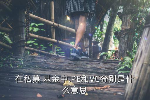 在私募 基金中,PE和VC分別是什么意思