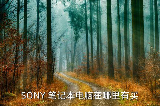 SONY 筆記本電腦在哪里有買