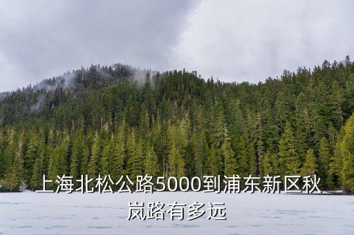  上海北松公路5000到浦東新區(qū)秋嵐路有多遠(yuǎn)