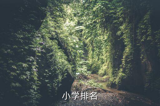 上海財大附小