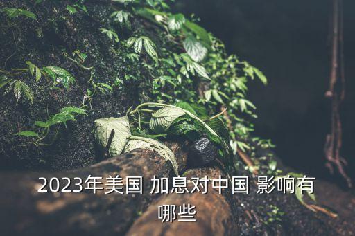 2023年美國 加息對中國 影響有哪些