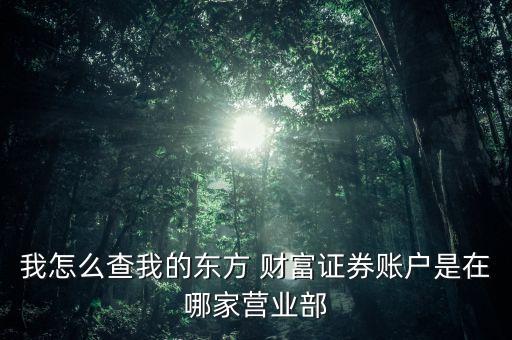 我怎么查我的東方 財(cái)富證券賬戶(hù)是在哪家營(yíng)業(yè)部