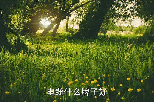 杭州萬錦榮線纜有限公司,杭州德福線纜有限公司怎么樣