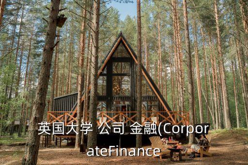 英國(guó)大學(xué) 公司 金融(CorporateFinance