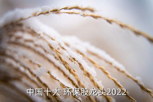 中國(guó)十大 環(huán)保股龍頭2022