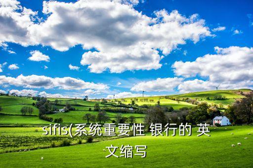 sifis(系統(tǒng)重要性 銀行的 英文縮寫