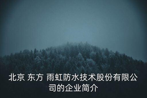 北京 東方 雨虹防水技術股份有限公司的企業(yè)簡介