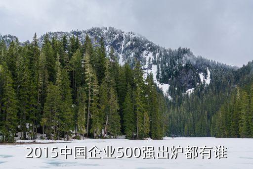 2015中國(guó)企業(yè)500強(qiáng)出爐都有誰