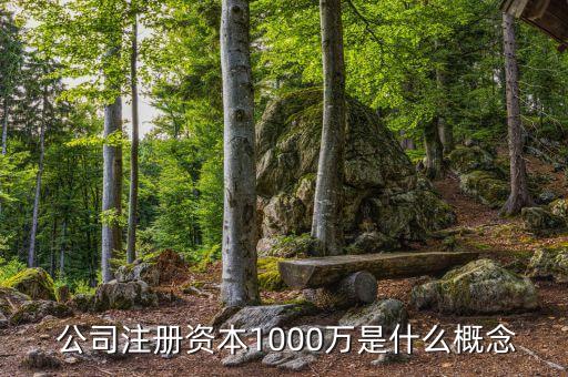  公司注冊資本1000萬是什么概念