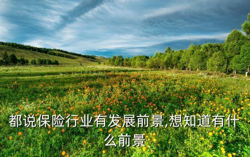 都說保險(xiǎn)行業(yè)有發(fā)展前景,想知道有什么前景