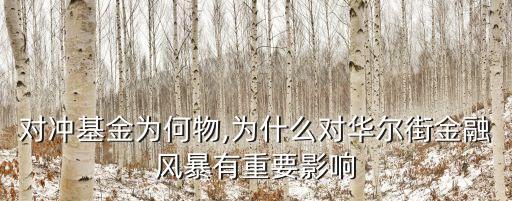 對(duì)沖基金為何物,為什么對(duì)華爾街金融風(fēng)暴有重要影響