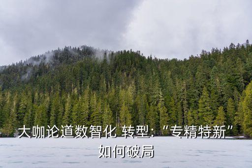 中國中小企業(yè)轉(zhuǎn)型,專家:中小企業(yè)不轉(zhuǎn)型或遇更大困難