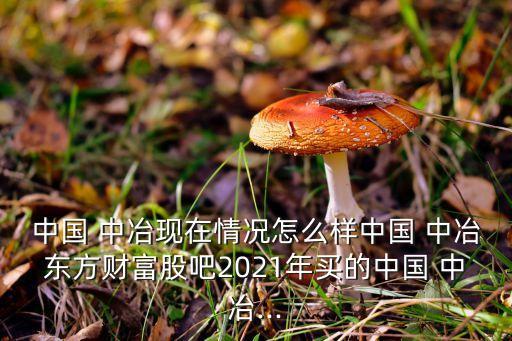 中國 中冶現(xiàn)在情況怎么樣中國 中冶東方財(cái)富股吧2021年買的中國 中冶...