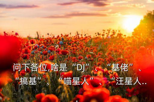 問下各位,啥是“DJ”、“基佬”、“搞基”、“喵星人”、“汪星人...