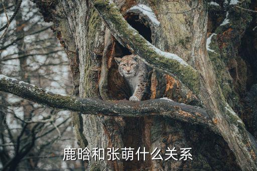 上海佳雨實(shí)業(yè)有限公司,上海雨創(chuàng)實(shí)業(yè)有限公司怎么樣