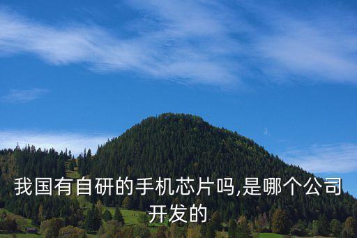 中國(guó)有核心技術(shù)的企業(yè),企業(yè)核心技術(shù)內(nèi)涵 多選