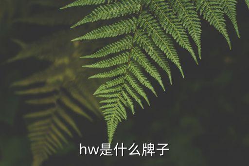 hw是什么牌子