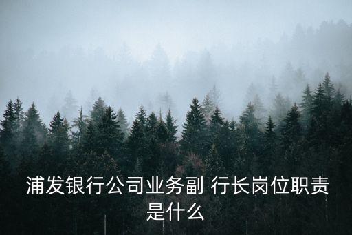  浦發(fā)銀行公司業(yè)務(wù)副 行長(zhǎng)崗位職責(zé)是什么