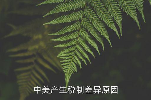 中美產(chǎn)生稅制差異原因