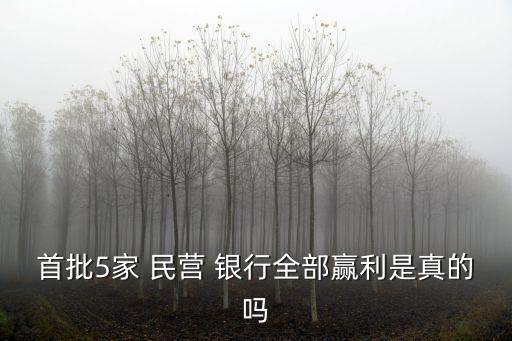 首批5家 民營(yíng) 銀行全部贏利是真的嗎