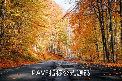 PAVE指標(biāo)公式源碼