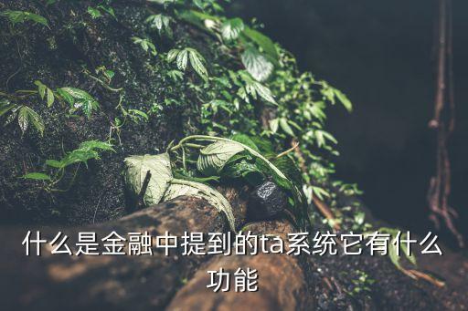 什么是金融中提到的ta系統(tǒng)它有什么功能