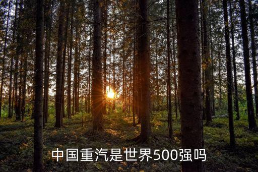 中國重汽是世界500強(qiáng)嗎