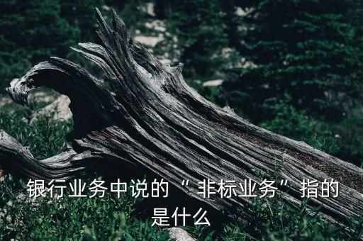  銀行業(yè)務(wù)中說(shuō)的“ 非標(biāo)業(yè)務(wù)”指的是什么