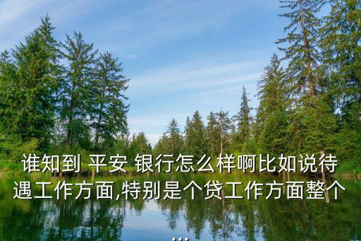 誰知到 平安 銀行怎么樣啊比如說待遇工作方面,特別是個(gè)貸工作方面整個(gè)...