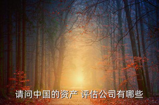 四川衡立泰資產(chǎn)評估事務所有限公司