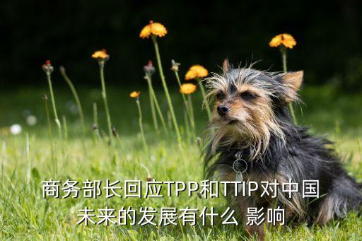 商務(wù)部長回應(yīng)TPP和TTIP對中國未來的發(fā)展有什么 影響