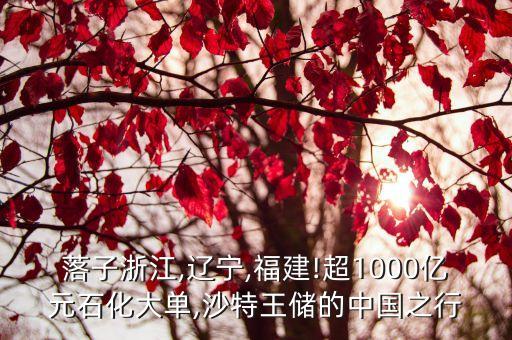 落子浙江,遼寧,福建!超1000億元石化大單,沙特王儲的中國之行