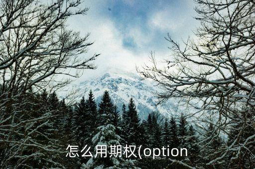 怎么用期權(quán)(option