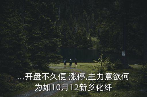 ...開盤不久便 漲停,主力意欲何為如10月12新鄉(xiāng)化纖