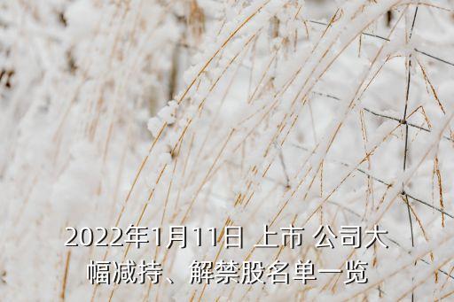 2022年1月11日 上市 公司大幅減持、解禁股名單一覽