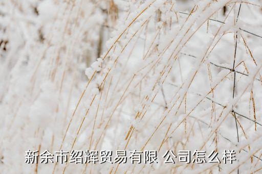 新余市紹輝貿(mào)易有限 公司怎么樣