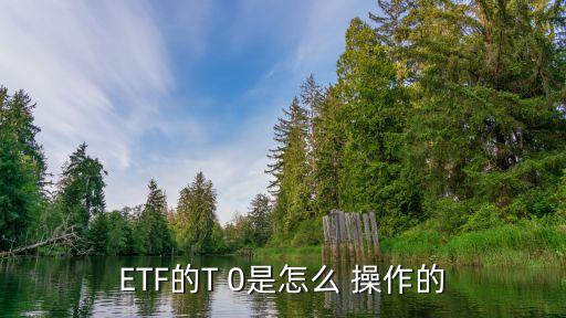 etf基金短線(xiàn)操作,基金etf交易規(guī)則及費(fèi)用