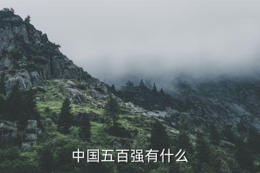 中國五百強(qiáng)有什么