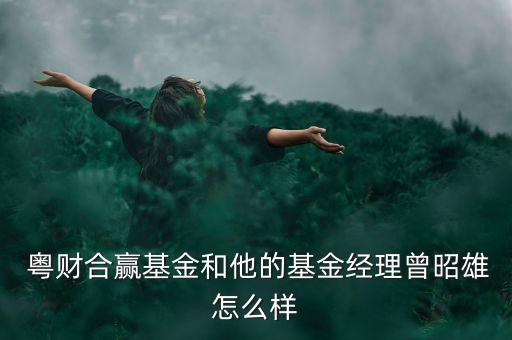  粵財(cái)合贏基金和他的基金經(jīng)理曾昭雄怎么樣