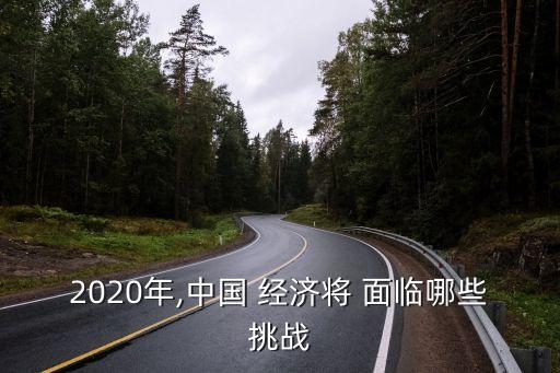 2020年,中國 經(jīng)濟將 面臨哪些挑戰(zhàn)