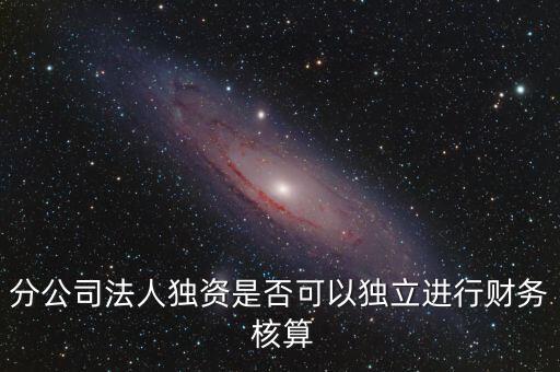 分公司法人獨資是否可以獨立進行財務 核算