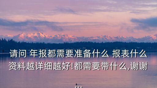 請問 年報都需要準備什么 報表什么資料越詳細越好!都需要帶什么,謝謝...