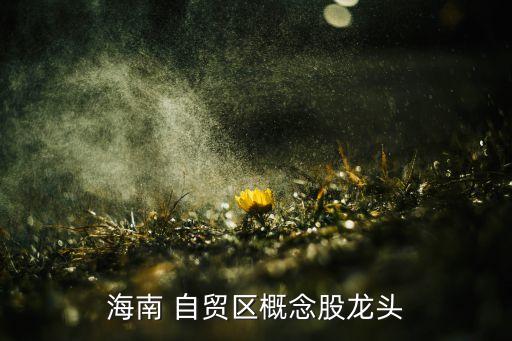 海南 自貿(mào)區(qū)概念股龍頭