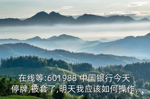 在線等:601988 中國(guó)銀行今天停牌,被套了,明天我應(yīng)該如何操作,