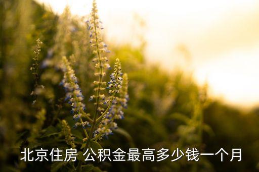  北京住房 公積金最高多少錢一個(gè)月