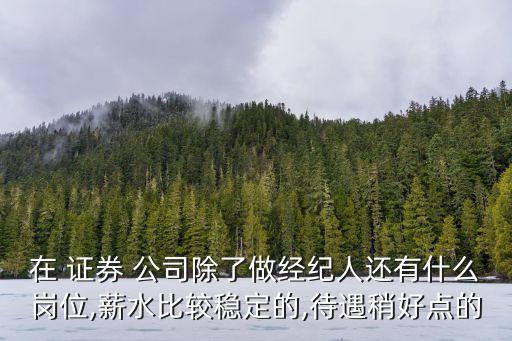 在 證券 公司除了做經(jīng)紀(jì)人還有什么崗位,薪水比較穩(wěn)定的,待遇稍好點(diǎn)的