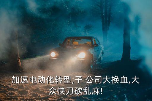 加速電動化轉(zhuǎn)型,子 公司大換血,大眾快刀砍亂麻!