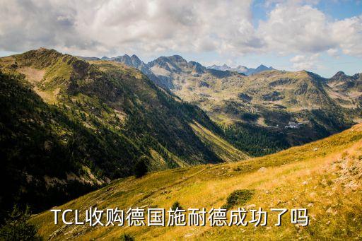 TCL收購(gòu)德國(guó)施耐德成功了嗎